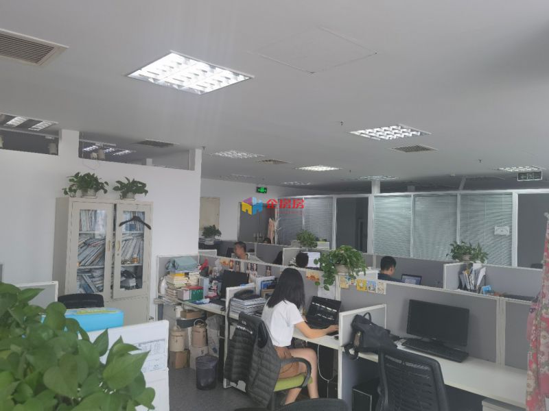 怡和阳光大厦（怡和大厦）