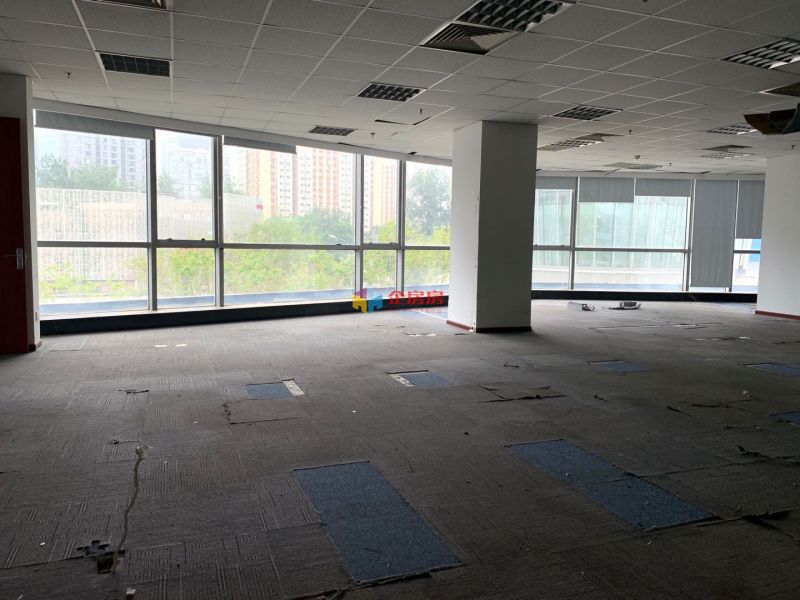 中电发展大厦（909大厦）