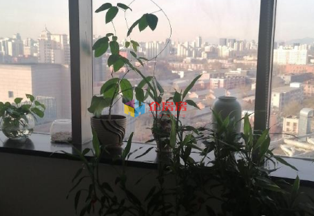 万通金融中心（原万通新世界中心）