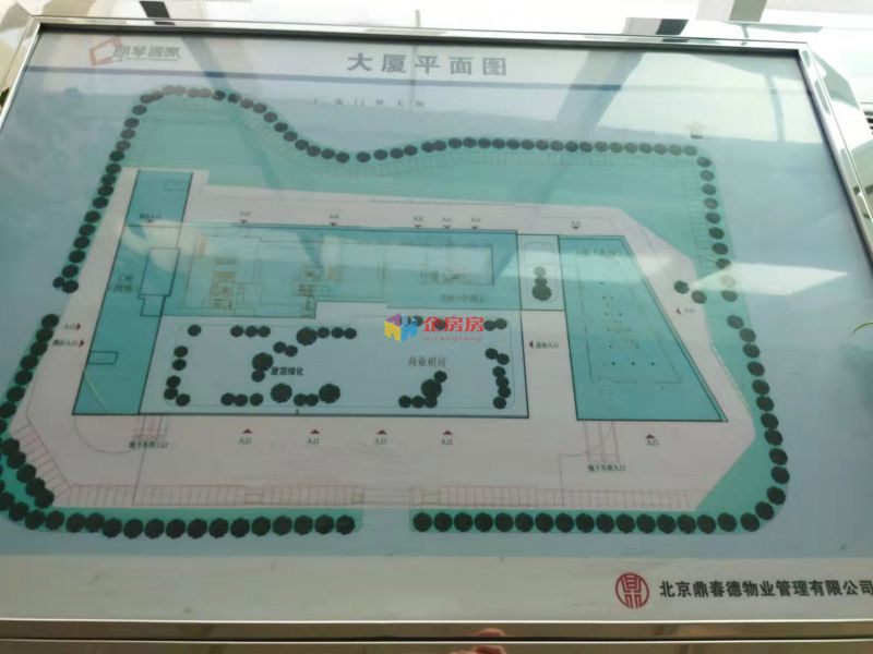 朗琴国际大厦