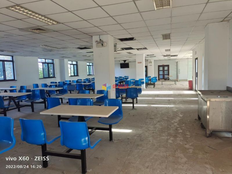 简式国际汽车设计