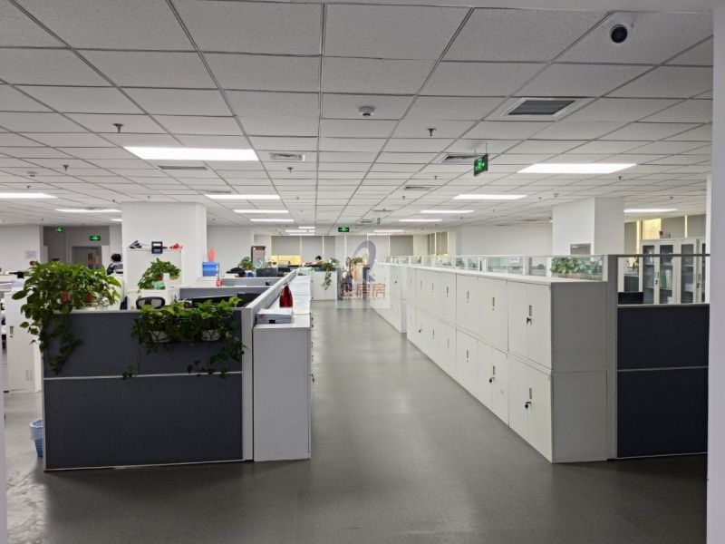 能+中心（金泰中心（柳芳）