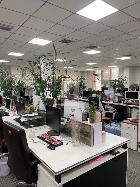 宁波银行写字楼