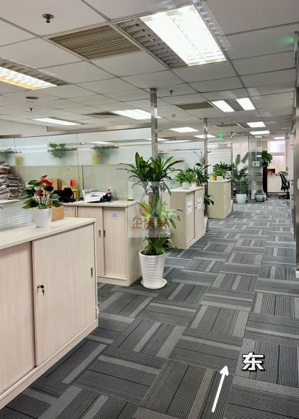 北京国际俱乐部