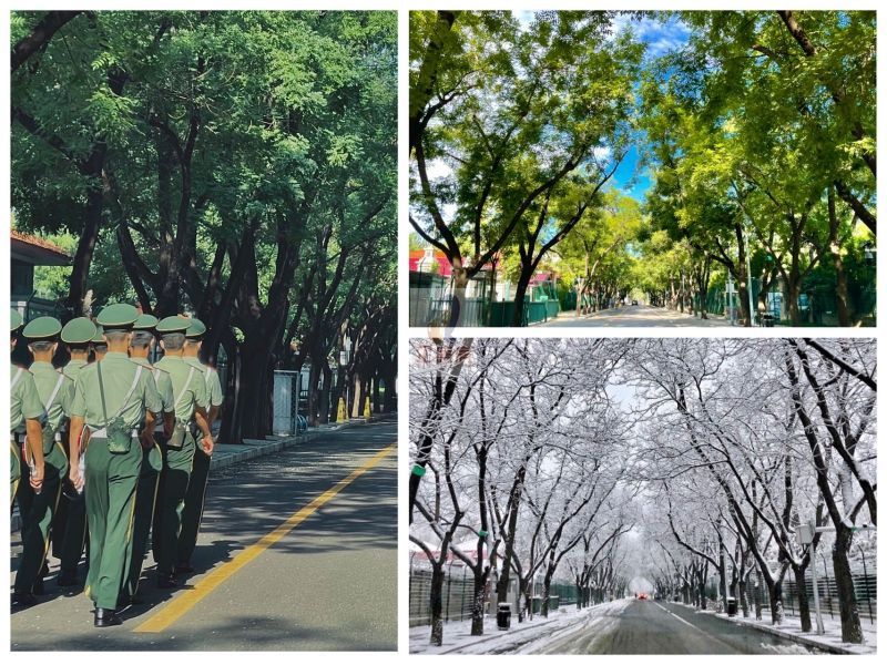 北京国际俱乐部