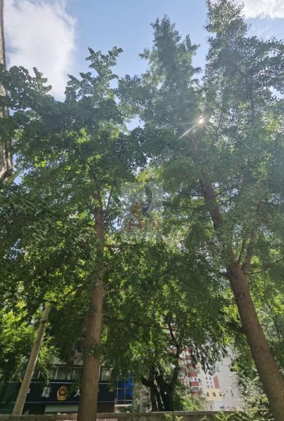 西城区北营房北街9号