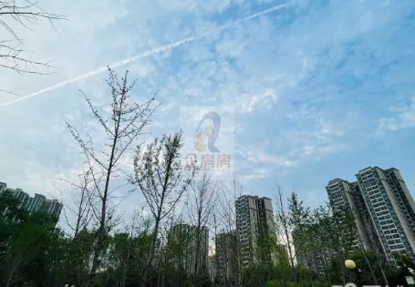 华控大厦