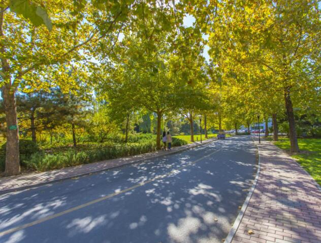 凯龙高科岭(腾飞高科岭)