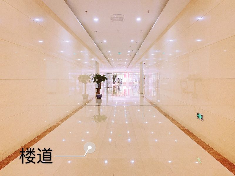 国粹苑 
