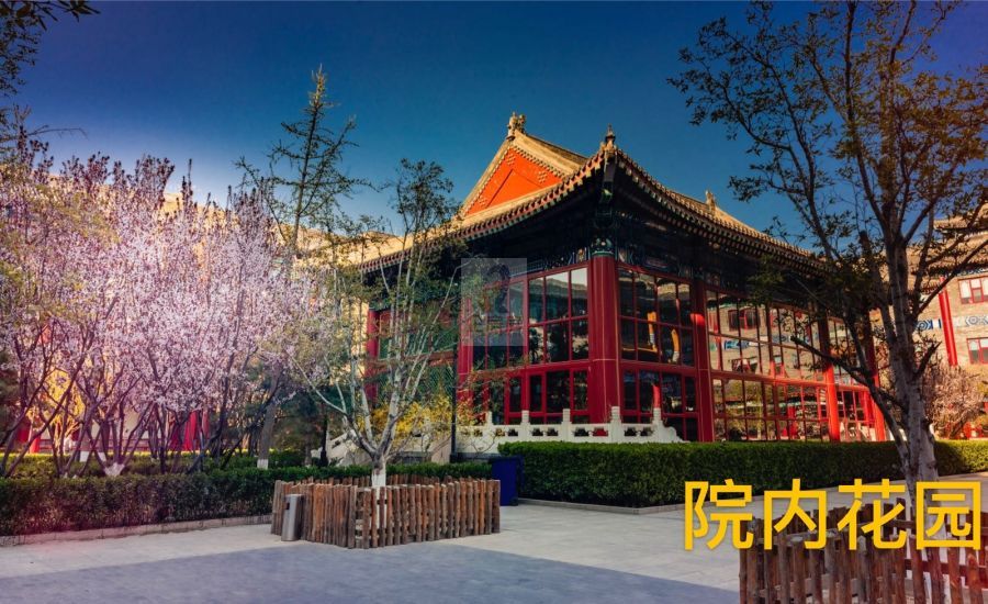 国粹苑 