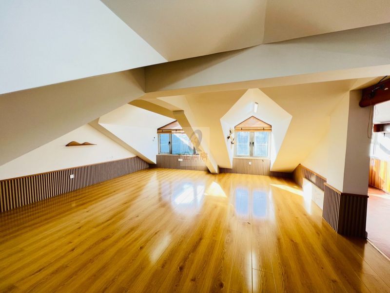 南岸1号 （南岸一号独栋）