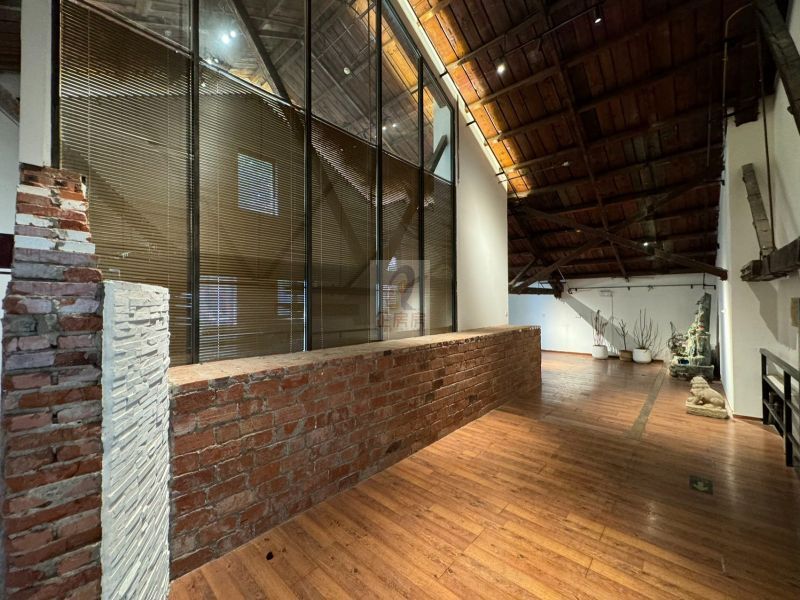 竞园艺术中心独栋