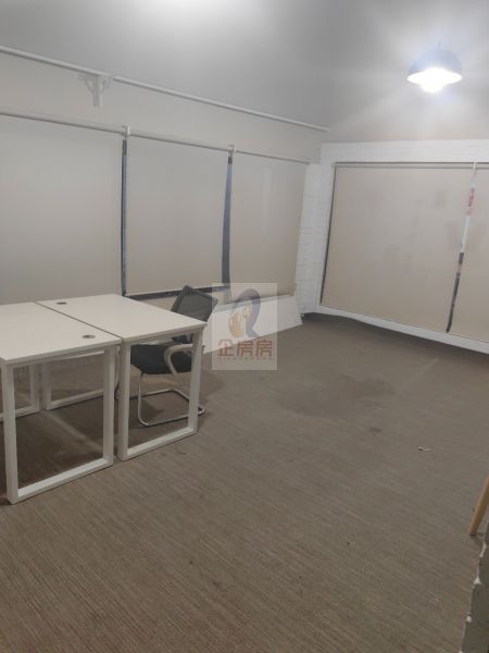 竞园艺术中心独栋