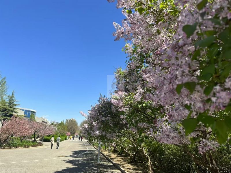 融科融智创新园