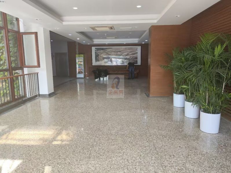 建材城西路31号