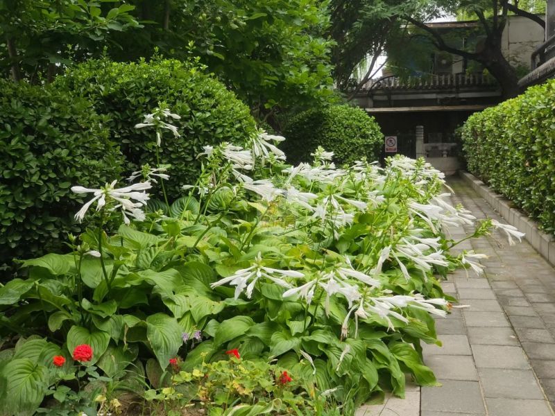 锦胜华安写字楼锦胜华安商务楼