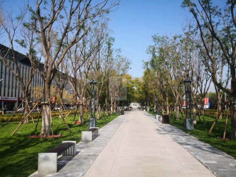 北京天桥艺术大厦