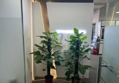 搜宝商务中心（搜宝国际中心）