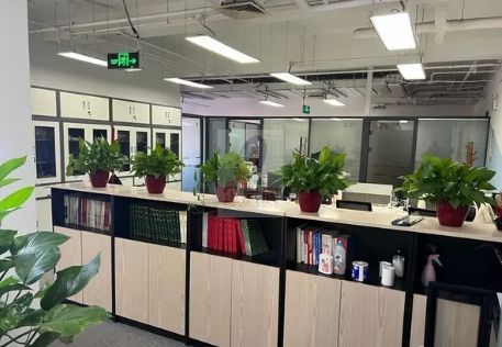 搜宝商务中心（搜宝国际中心）