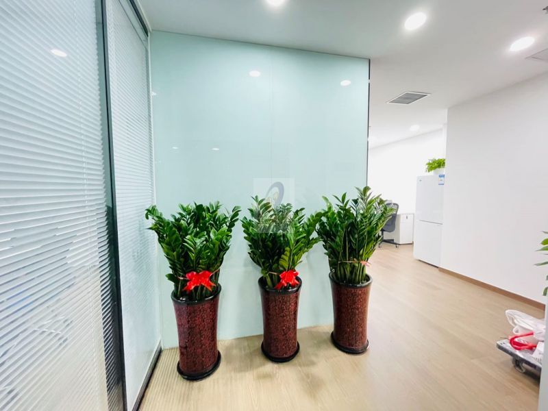 SOHO现代城（B座C座）