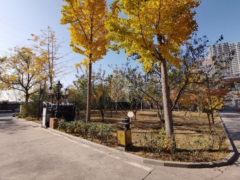 大地时尚文化创意园 