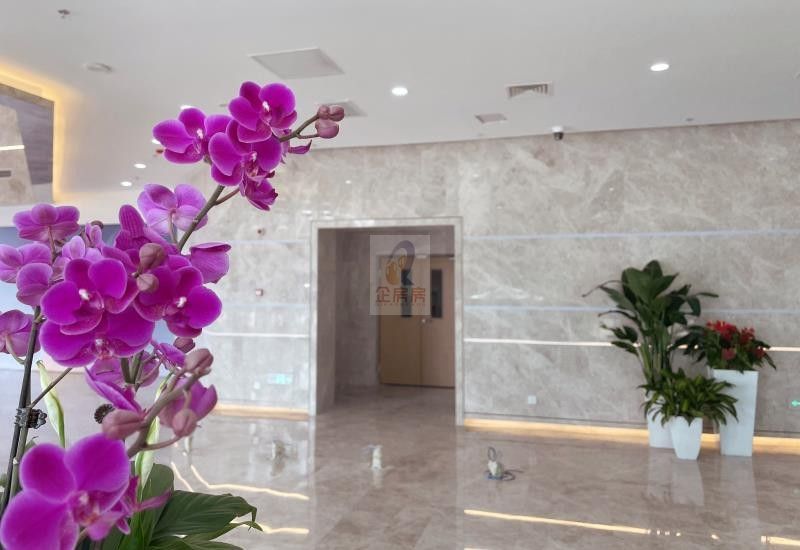 首开广场（天鸿宝景大厦）