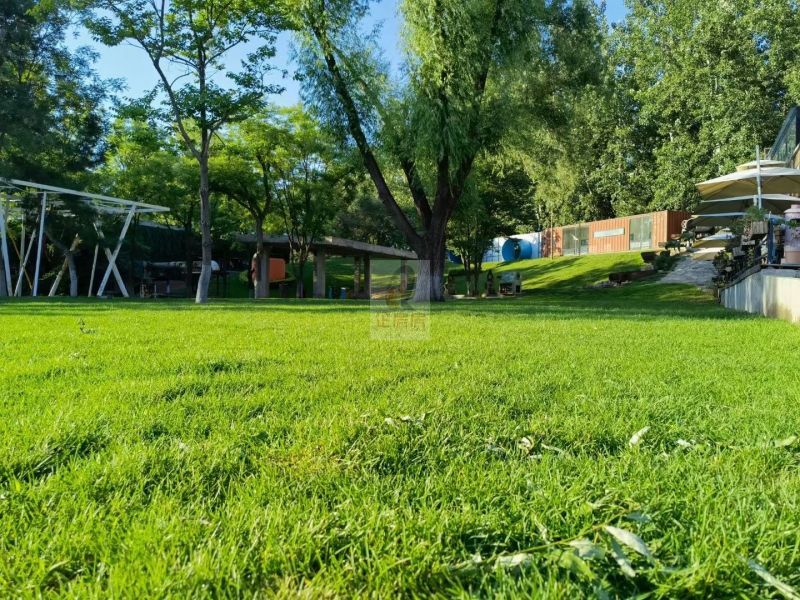 电通创意文化广场