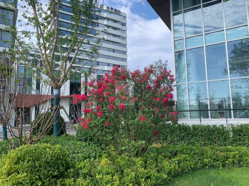 京东智能产业园