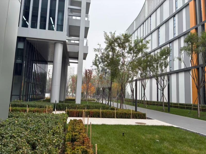 国际医疗器械城