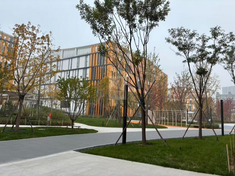 国际医疗器械城