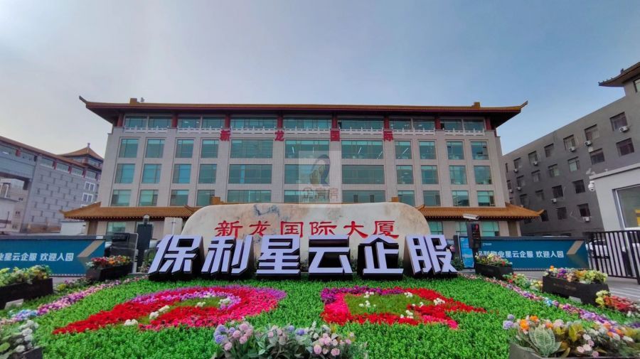 新龙国际大厦