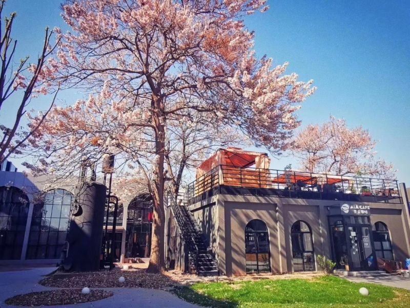 菁英梦谷（常营）