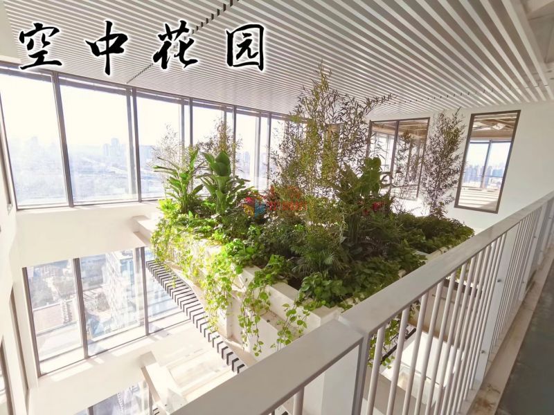 东方金融中心