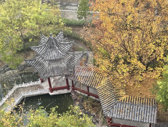 十纪科技大厦