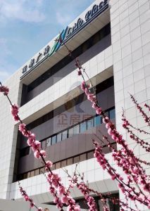 丽都广场详情