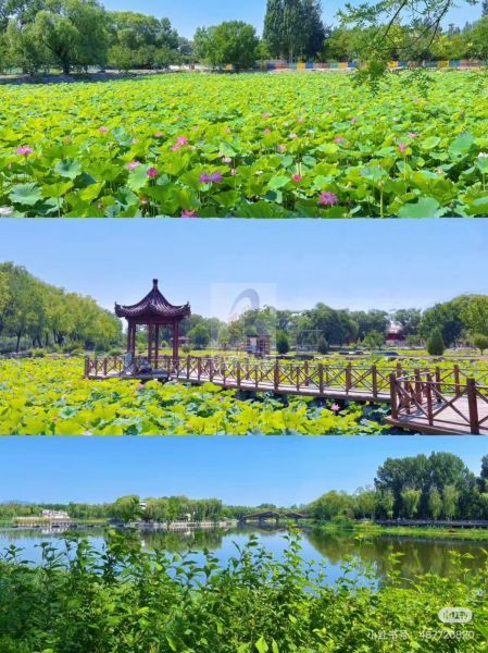 稻香湖公园