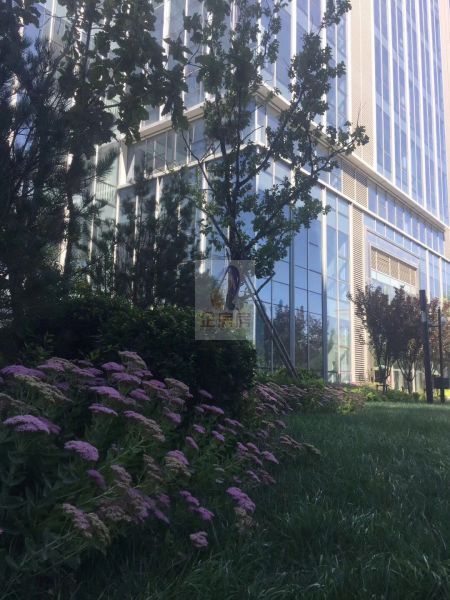 海淀绿地中央广场